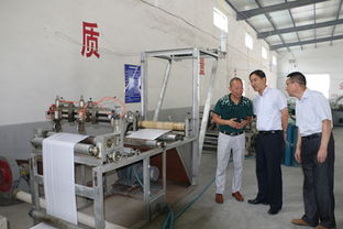 漣水縣岔廟鎮(zhèn)人民政府關(guān)于推進(jìn)技術(shù)轉(zhuǎn)讓工作的探索與實踐