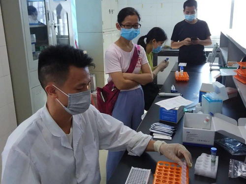 守護舌尖上的安全，古鎮鎮舉辦農產品檢驗檢測機構開放日活動